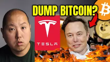 Tesla Stock Sinks to a New Low...Will Elon Dump Bitcoin Next?