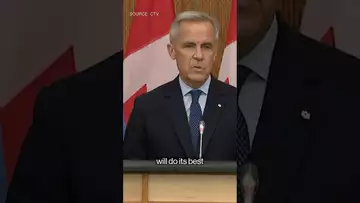 #canada will recognize a Palestinian State #politics #israel #shorts