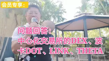 问题回答：中心化交易所的DEX、波卡DOT、LINK、THETA～会员专享096