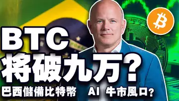 比特币9万美元保卫战;比特币下杀专家怎么说?8000个比特币的垃圾场;巴西储备比特币?AI会是下一波财富密码吗?20241127