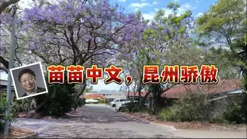 苗苗中文,昆州骄傲 (词曲:Dr Robert Lee, 为布里斯班苗苗中文学校作, 编号:RLAM-F-028)