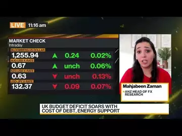 Overvalued Dollar Remains for First Half of 2023: Zaman