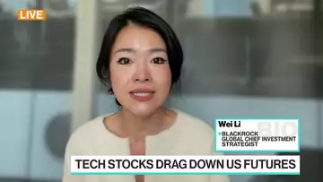AI-Fueled Stocks Rally Has Further to Go, BlackRock's Wei Li Says