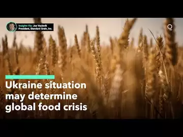 Will Ukraine Grain Shipments Alleviate Supply Crisis?