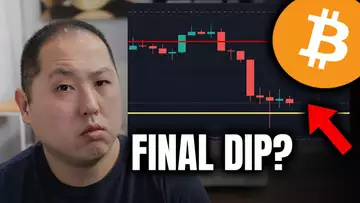 BITCOIN'S FINAL DIP BEFORE CYCLE PEAK?