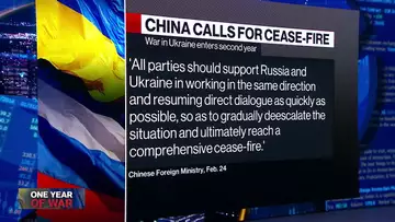 China Calls for Cease-Fire in Ukraine