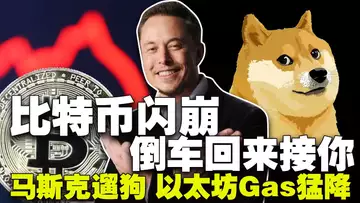 比特币出现拐点?Coinbase 效仿微策略?马斯克“遛狗”狗狗上涨;英国法官“重锤”澳本聪;坎昆升级以太坊 Gas 猛降?
