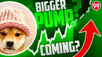 DogWifHat Meme Coin Price Prediction | $WIF Ready to Pump More?!