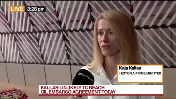 Estonia's Kallas Says Her Future as PM Is Uncertain