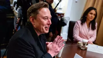 Gerber: Musk Doesn't Care About Tesla