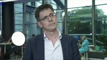 Greens: EU Election Results 'Disappointing'
