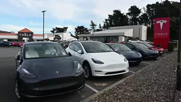 Tesla Gaining Share From Auto EV Pullback: Cathie Wood