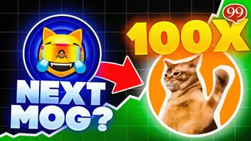CAT SLAP New 100X Potential MEME COIN (Next $MOG Coin?!?!)