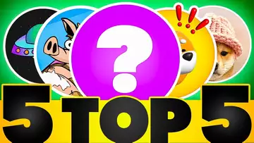 Sind das die Top 5 Solana Meme Coins die Du jetzt kaufen solltest?