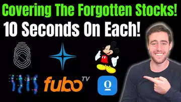 Talking 10 Seconds On Each Stock I Own!
