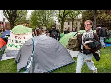 Sternlicht Says Colleges Need to Stand Up to Pro-Palestinian Protesters