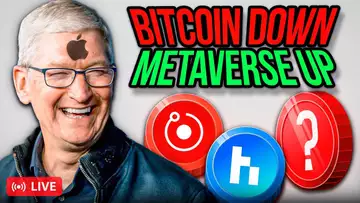 WHY The Metaverse Pump Is Only STARTING!