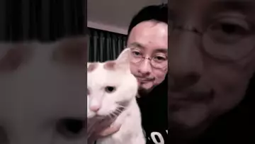 福妹在查询它的银行账户！喵身巅峰不过如此……￼