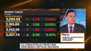 China’s GDP to Grow 5.3% in 2023: Lu