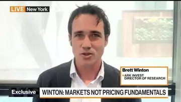 Ark Invest's Winton on Valuations, Tesla and Coinbase