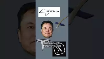 Elon Musk bring in allies to help run the government