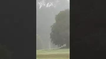Walking through the forest in the morning mist-03