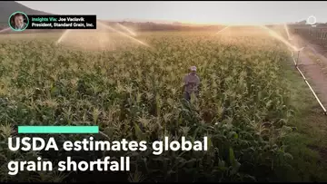 USDA Forecasts Global Grain Shortfall