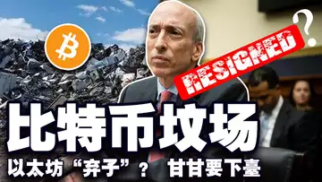 比特币破新高7.6万;新SEC主席花落谁家?以太坊成 “弃子”?百万比特币沉睡何处?FTX Gary Wang 避狱计中 20241107