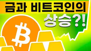 금과 비트코인의 사상 최고가 돌파 소식?!