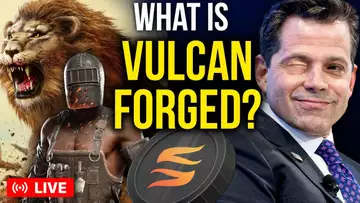 WATCH THIS BEFORE Investing In Vulcan Forged! | What is Vulcan Forged?