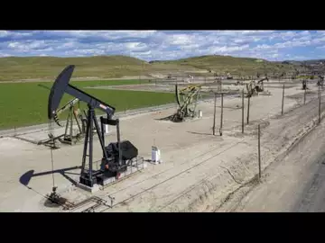 Commodities Are a Good Place to Be: ED&F Man