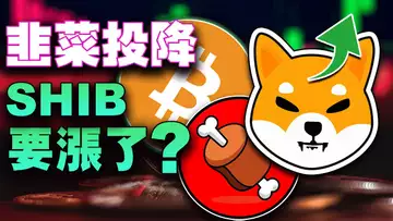 韭菜投降;屎币要涨?97家加密基金“阵亡”;NFT版税跌的比大盘猛?zkSync 抄袭 Polygon 代码?