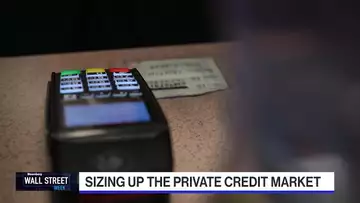 Sizing up the Private Credit Market