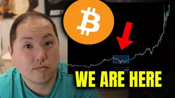 DON'T LET THE WHALES DRIVE YOU OUT OF BITCOIN | IGNORE THE FUD