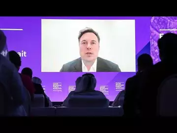 Who Will Elon Musk Support in 2024? Trump, DeSantis or Someone Else?