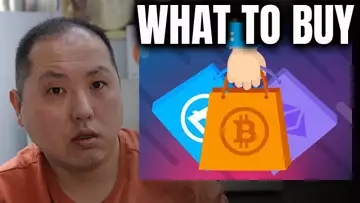 WHICH ALTCOINS ARE BEST TO BUY DURING THE BITCOIN DIP?