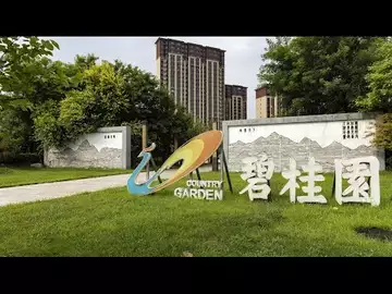 Country Garden Delays Voting on at Least Two Yuan Bonds