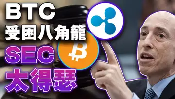 SEC上诉瑞波;Bitstamp被点了;比特币难稳3万;中国公安部紧盯Chatgpt;顶级 NFT 交易商利润分析