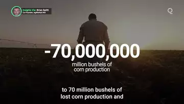 USDA Gives US Corn Soybean Yields a Major Downward Revision