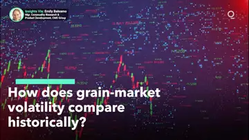 Comparing Eras of Grain-Market Volatility