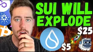 SUI IS BLOWING UP! BIGGEST MEMECOIN (LOFI) ON SUI!