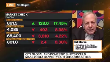 Industrial Metals Should Do Well Through 2023: Morse