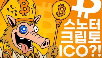 솔라나 트레이딩 봇 밈코인 스노터?!