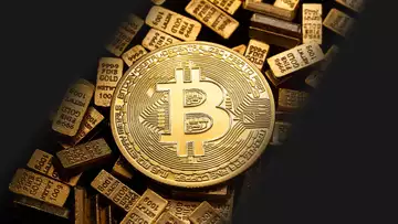 What Should You Buy- Bitcoin or Gold?