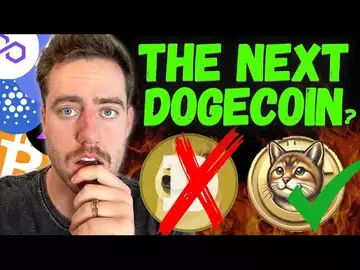 COULD THIS MEMECOIN BE THE NEXT DOGECOIN? (CATE)
