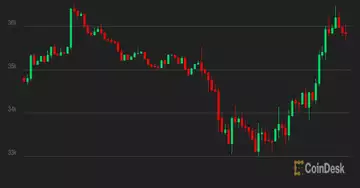 Market Wrap_ Bitcoin stabilizes while altcoins underperform