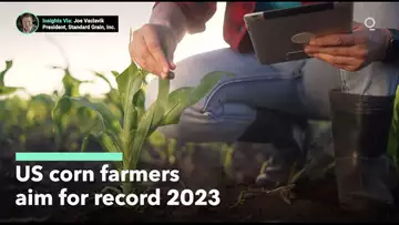 US Corn Farmers Expect a Record 2023