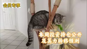 本周投资持仓公开及算力转移预测～会员专享161