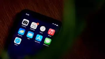 Apple, Tesla Investor Reacts to Musk’s App Store Claims