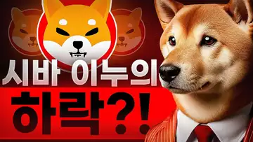 시바 이누 코인의 하락?! 그 이후는 어떻게 될까?!